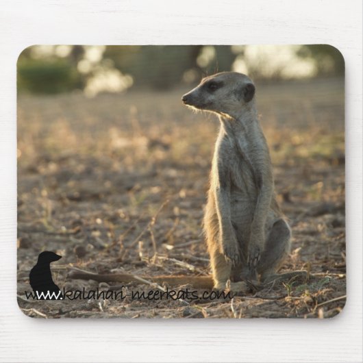 Tapis De Souris 12ème mousepad d'anniversaire de Zaphod (Devant)