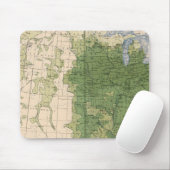 Tapis De Souris 154 km² de maïs (Avec souris)