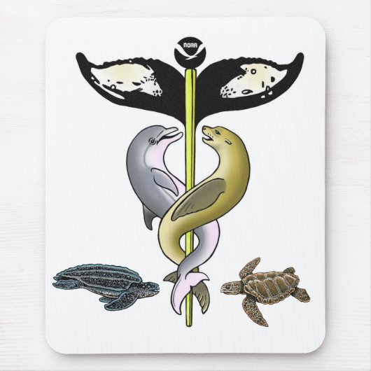 Tapis De Souris 2010 NMAHC Mousepad (Devant)