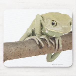 TAPIS DE SOURIS 23568119