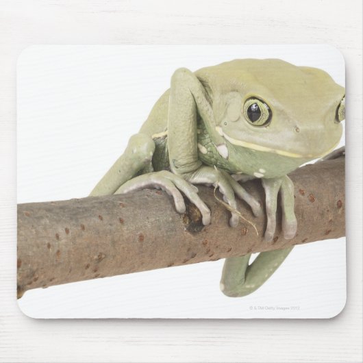 TAPIS DE SOURIS 23568119 (Devant)