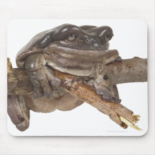 TAPIS DE SOURIS 23568138 (Devant)