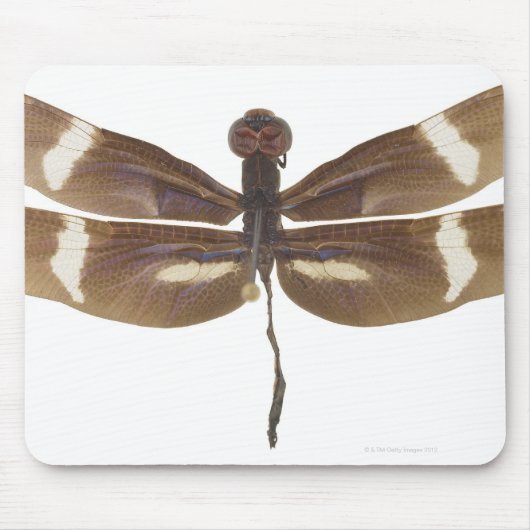 TAPIS DE SOURIS 23599152 (Devant)