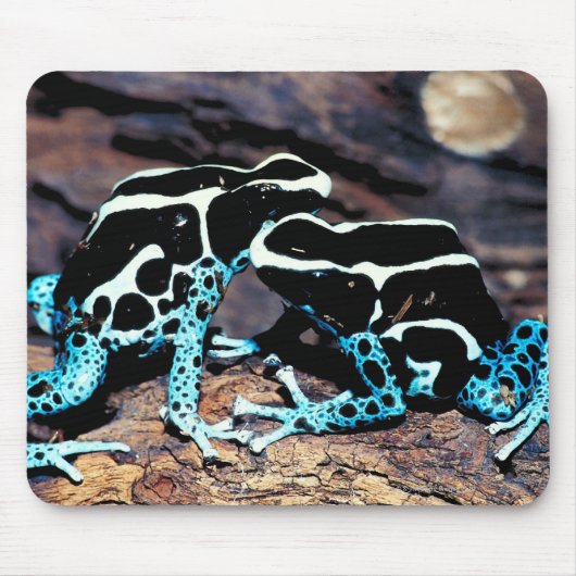 TAPIS DE SOURIS 23898179 (Devant)