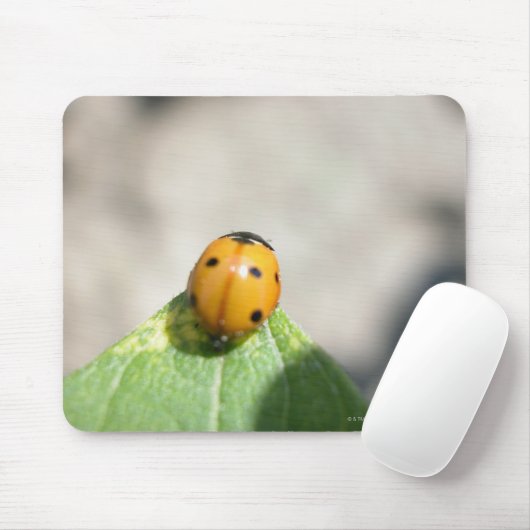 TAPIS DE SOURIS 24102386 (Avec souris)