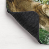 TAPIS DE SOURIS 24114343 (Coin)