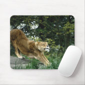 TAPIS DE SOURIS 24114343 (Avec souris)