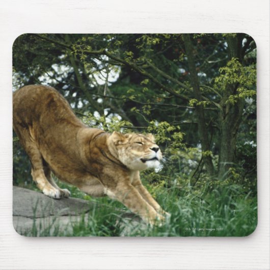 TAPIS DE SOURIS 24114343 (Devant)
