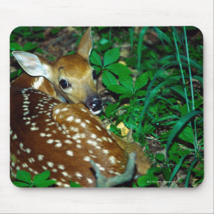 TAPIS DE SOURIS 24114390