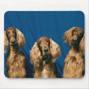 TAPIS DE SOURIS 24119671