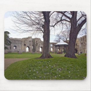 Tapis de souris 25 de château