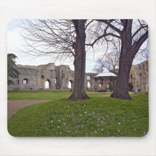 Tapis de souris 25 de château (Devant)