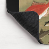 Tapis De Souris 28. 群 魚 図, 冲 Divers Poissons, Jakuchu, Japon Art若 (Coin)