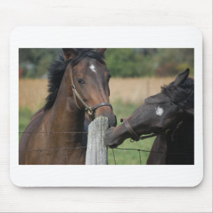 Tapis De Souris 2 Chevaux mâcher une clôture