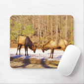 Tapis De Souris 2~ deux Bull Elk dans la neige (Avec souris)
