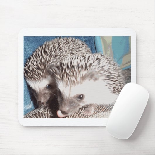 Tapis De Souris 2 hérissons mignons (Avec souris)