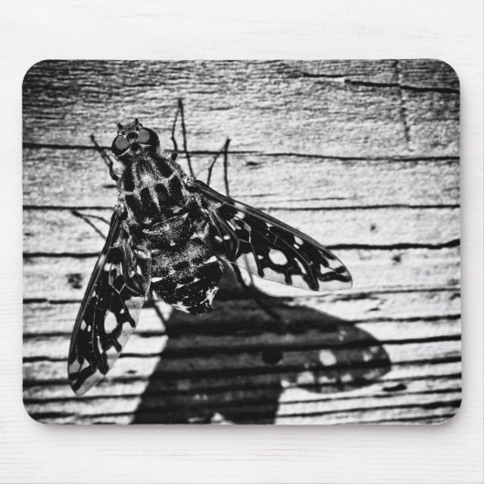 TAPIS DE SOURIS 3 (Devant)