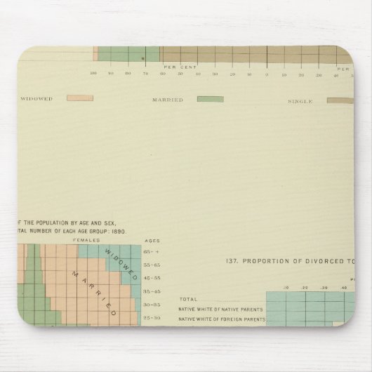 Tapis De Souris 32 Condition conjugale, divorcé 1890 (Devant)