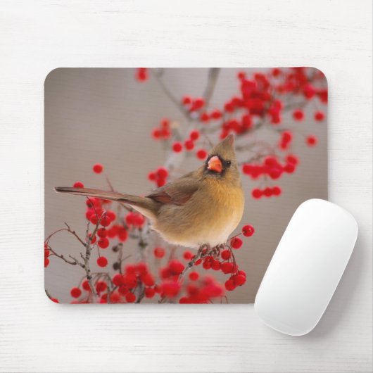 TAPIS DE SOURIS 350 (Avec souris)