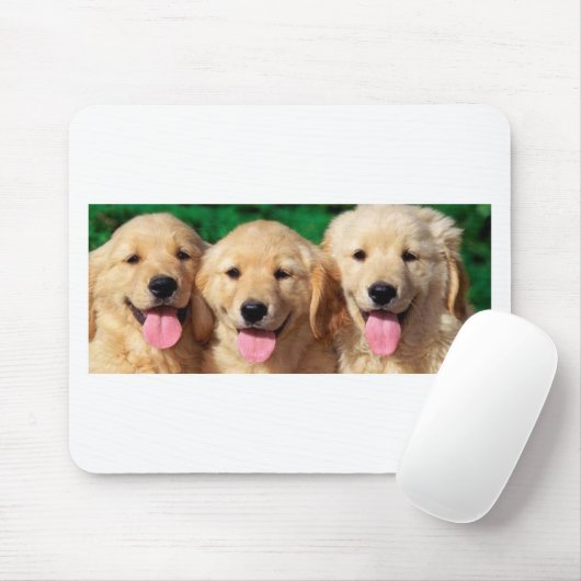 Tapis De Souris 3 amis (Avec souris)