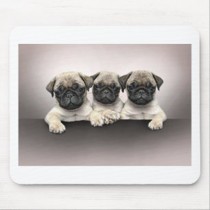 Tapis De Souris 3 carlin mignon Pippies