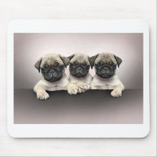 Tapis De Souris 3 carlin mignon Pippies