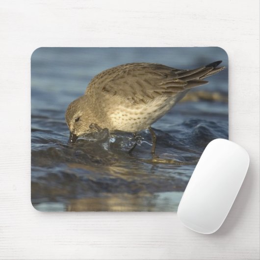 Tapis de souris 3 d'oiseau (Avec souris)