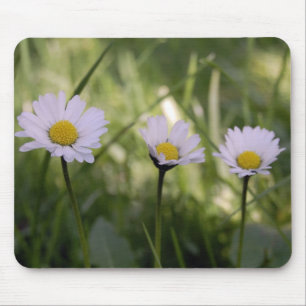 Tapis De Souris 3 Gänseblümchen