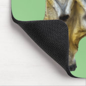 Tapis De Souris 3 Meerkats debats Thunder_Cove (Coin)