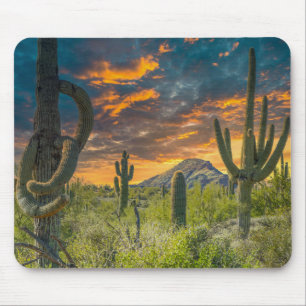 Tapis De Souris 4792-2-Spur Cross Ranch, Cave Creek, Arizona