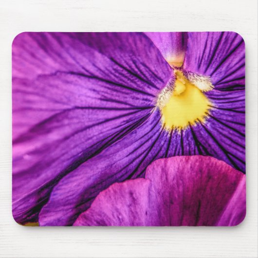 Tapis De Souris 5884-Purple Pansy (Devant)