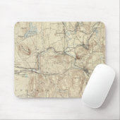 Tapis De Souris 5 feuilles Palmer (Avec souris)