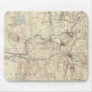 Tapis De Souris 5 feuilles Palmer