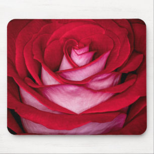 Tapis De Souris 6621-Rose rouge, blanche et rose