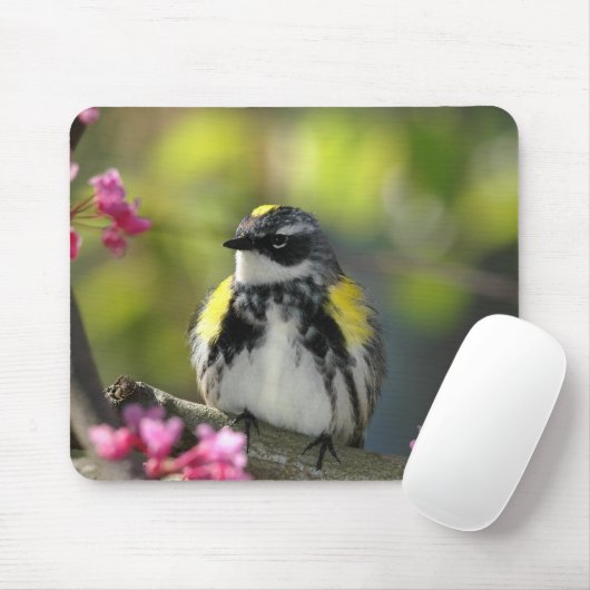 Tapis de souris 6 d'oiseau (Avec souris)