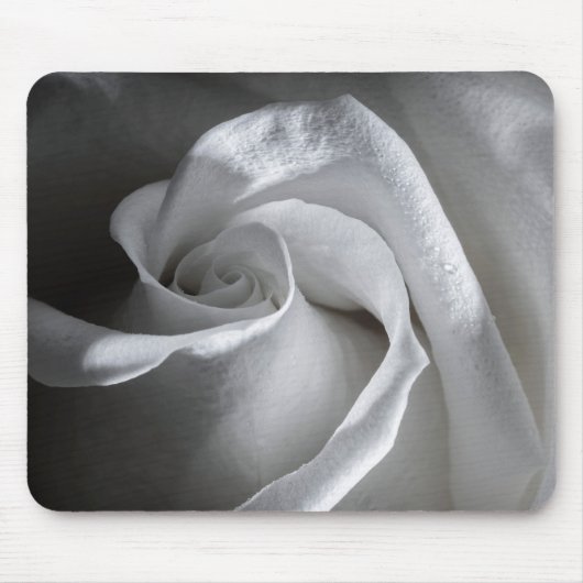 Tapis De Souris 7181-Rose blanche à mâchoire (Devant)