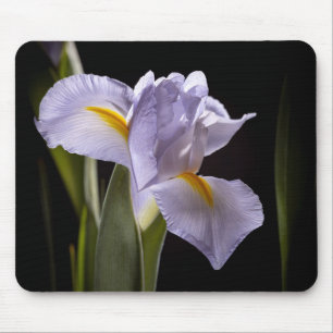 Tapis De Souris 7659-2-Purple Iris
