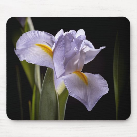 Tapis De Souris 7659-2-Purple Iris (Devant)
