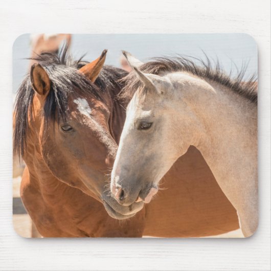 Tapis De Souris 7911-Deux Mustangs sauvages (Devant)