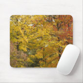 Tapis De Souris a (Avec souris)