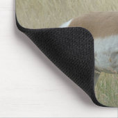Tapis De Souris A8 Pronghorn Antelope Big Buck (Coin)