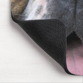 Tapis De Souris A English bulldog en Belgique. (Coin)