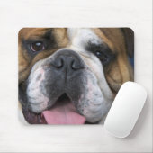 Tapis De Souris A English bulldog en Belgique. (Avec souris)