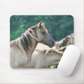Tapis De Souris A herd of Brumby Horses from Australie (Avec souris)