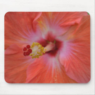 Tapis de souris à l'Hibiscus Orange