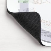 Tapis De Souris A phylogenetic tree of life Chart (Coin)
