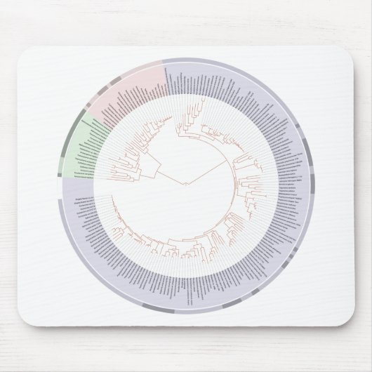 Tapis De Souris A phylogenetic tree of life Chart (Devant)