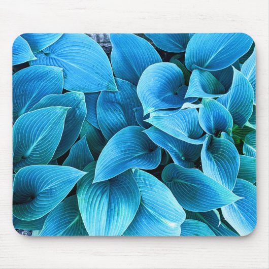 Tapis de souris à plante Hosta (Devant)