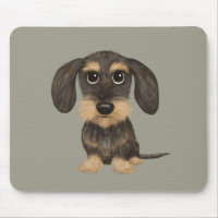 À poils durs Dachshund | Teckel de chien de carica