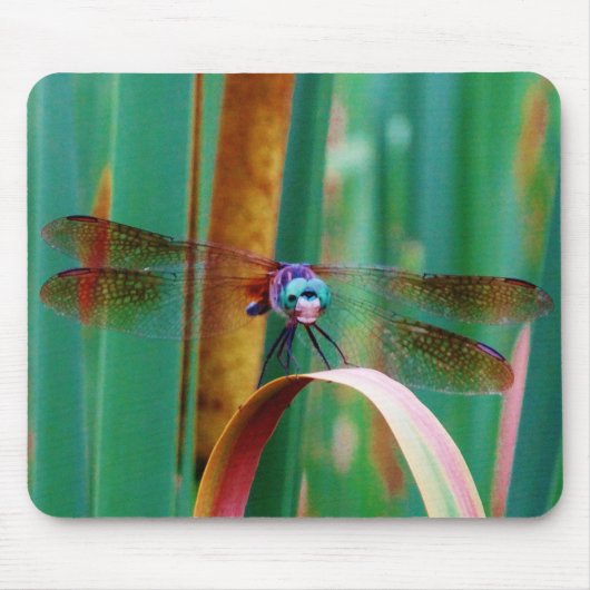 Tapis De Souris A teal Eyed Dragonfly with cattails (Devant)